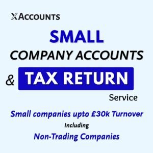 Small Companies Accounts & Tax Returns