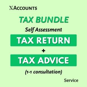 Tax Bundle (Tax Return + Tax Advice)