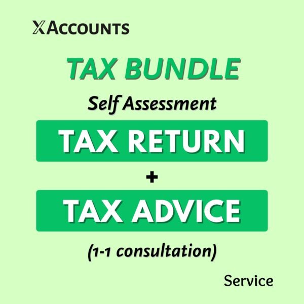 Tax Bundle (Tax Return + Tax Advice)